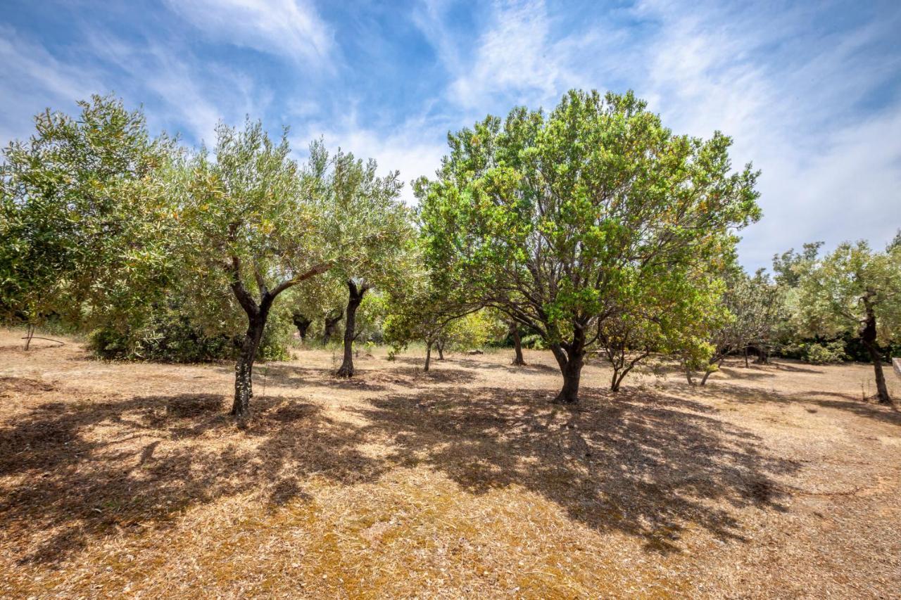 Villa Hidden Gem Sithonia Metochi Agias Kiriakis Exterior foto